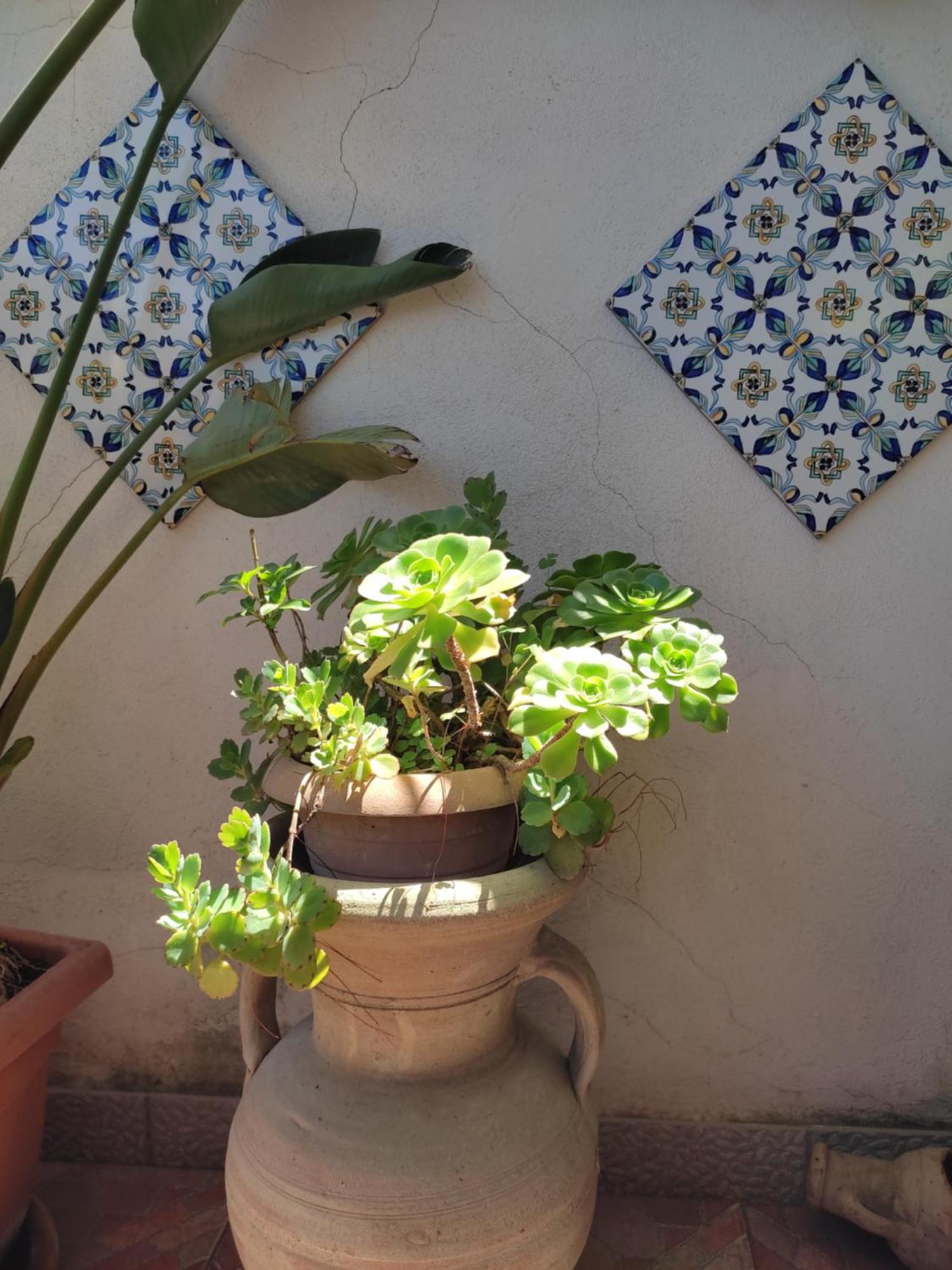 La Terrazza Di Massimo Leilighet Palermo Eksteriør bilde